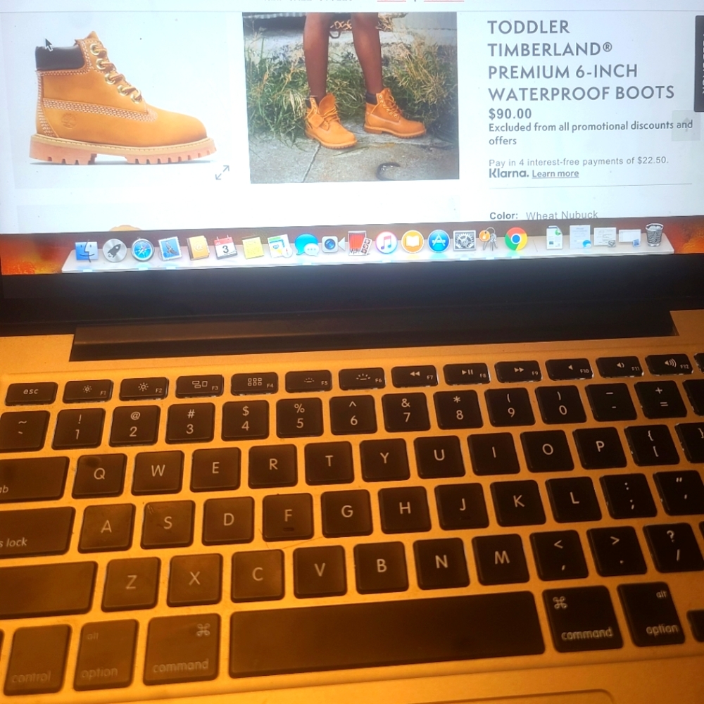 Timberland - Picture 7 of 7